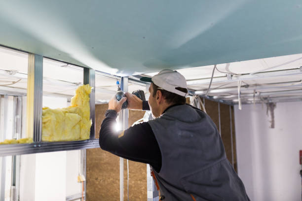 Best Types of Insulation in Hollymead, VA
