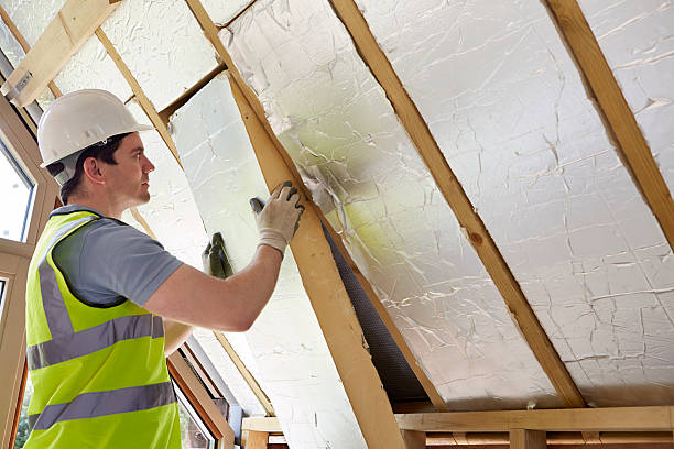 Best Insulation Installation Services in Hollymead, VA