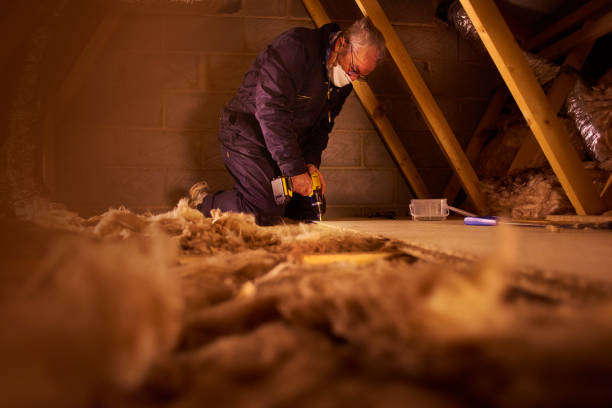 Best Residential Insulation in Hollymead, VA