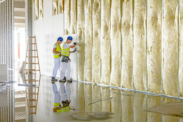 Best Insulation Maintenance and Repair in Hollymead, VA